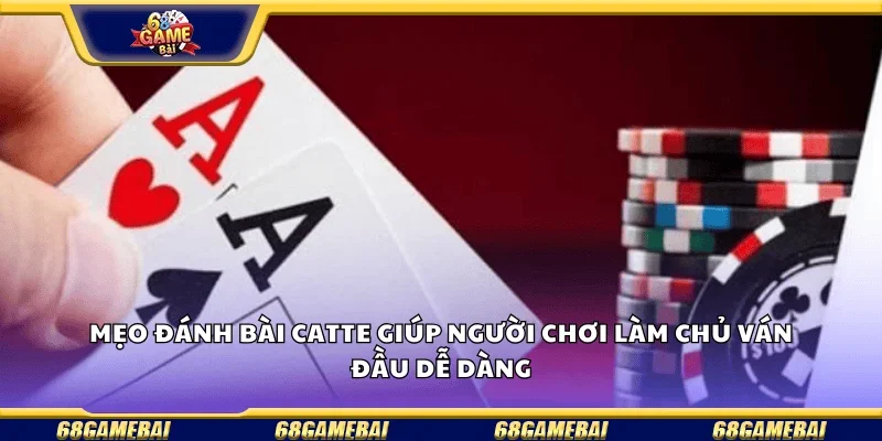 Mẹo đánh bài Catte giúp người chơi làm chủ ván đấu dễ dàng.